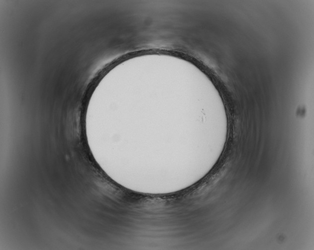 X0000101401214200808041033