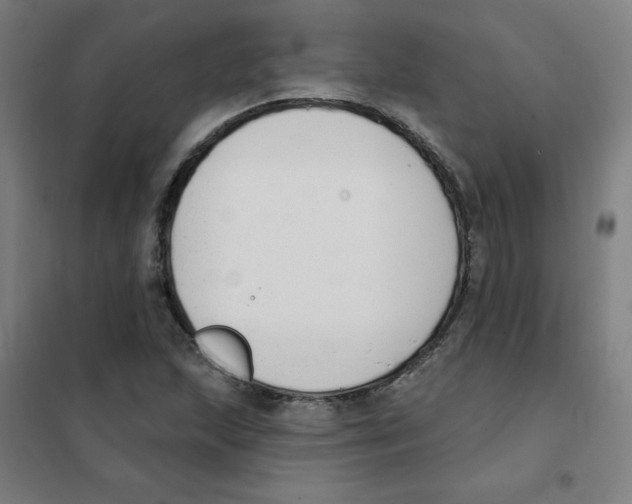 X0000101401215200808041033