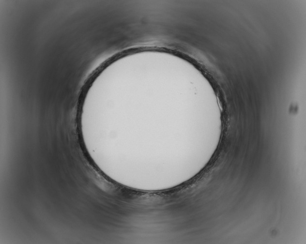 X0000101401216200808041033