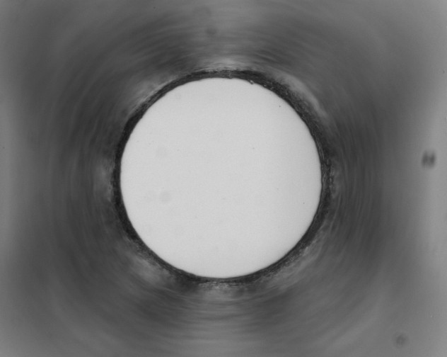 X0000101401217200808041033