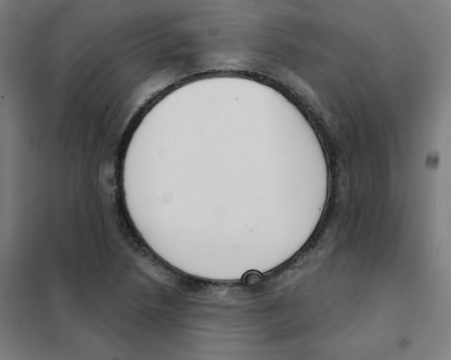 X0000101401218200808041033