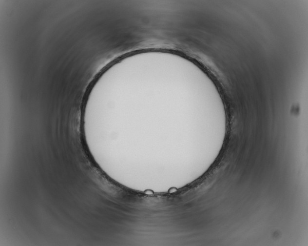 X0000101401220200808041033