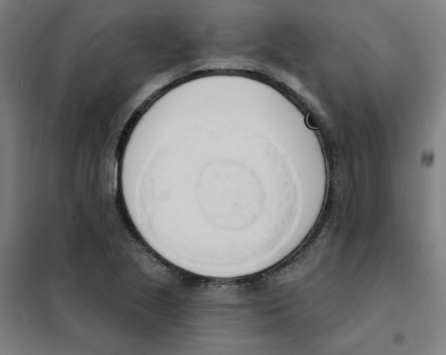 X0000101401221200808041033