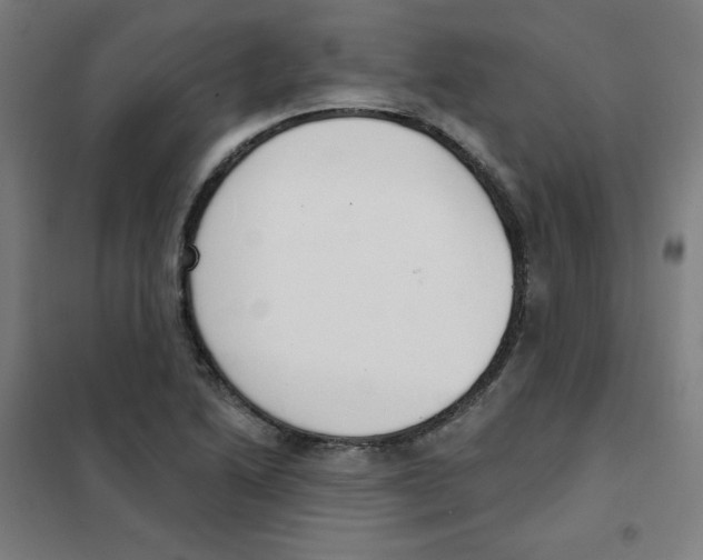 X0000101401222200808041033