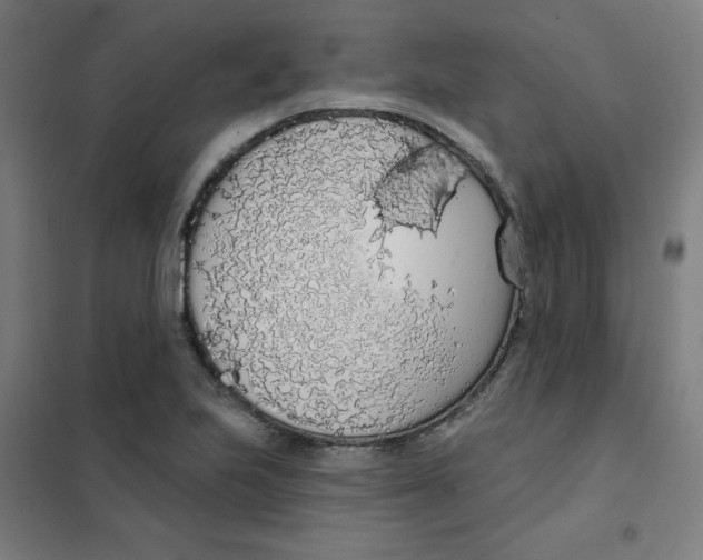 X0000101401223200808041033