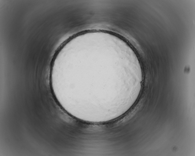 X0000101401224200808041033