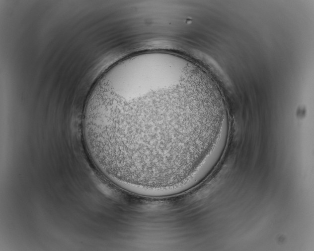 X0000101401225200808041033