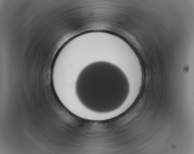 X0000101401226200808041033