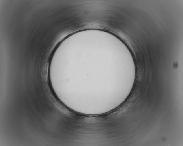 X0000101401227200808041033