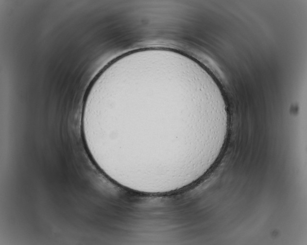 X0000101401228200808041033