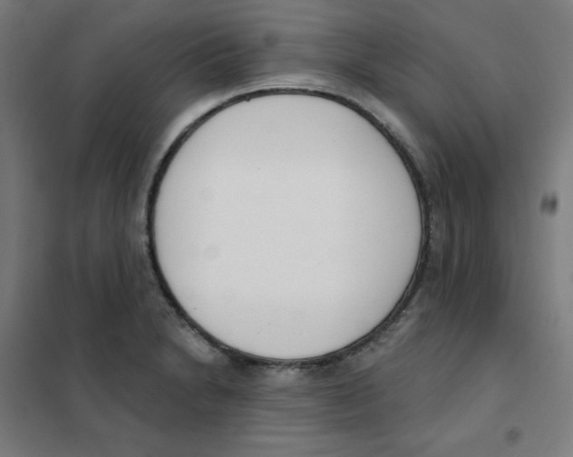 X0000101401230200808041033