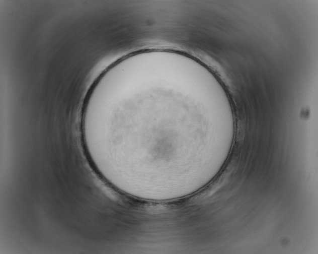 X0000101401231200808041033