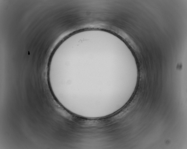 X0000101401232200808041033