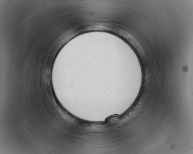 X0000101401233200808041033