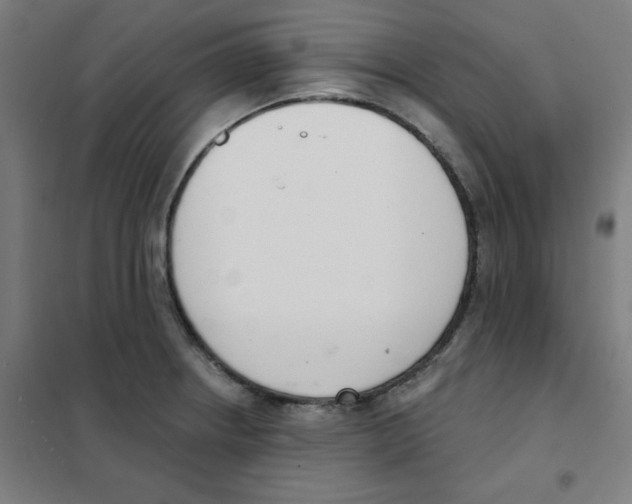 X0000101401234200808041033