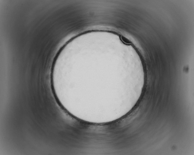 X0000101401237200808041033