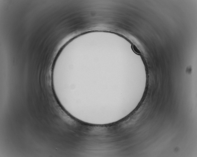 X0000101401238200808041033