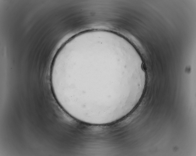 X0000101401240200808041033