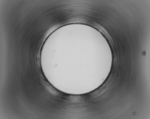 X0000101401242200808041033