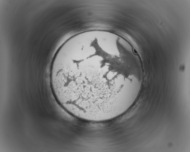 X0000101401243200808041033