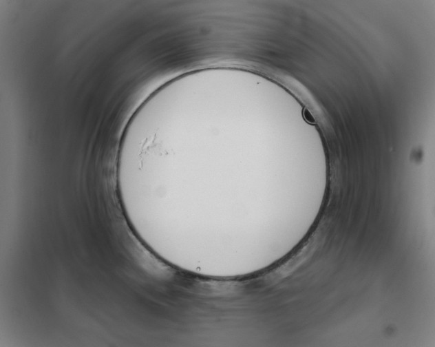 X0000101401244200808041033