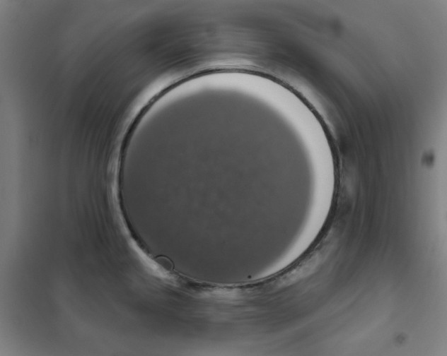 X0000101401245200808041033