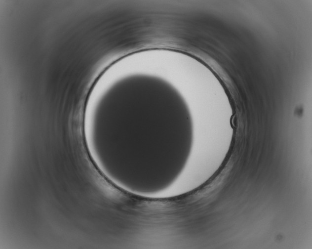 X0000101401246200808041033