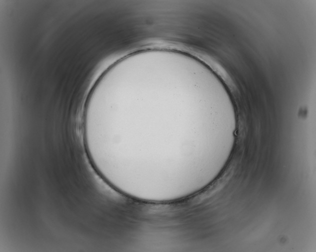 X0000101401247200808041033