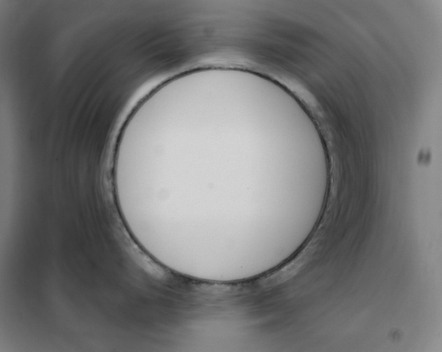 X0000101401248200808041033