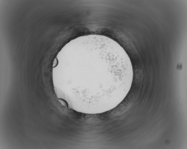 X0000101401249200808041033