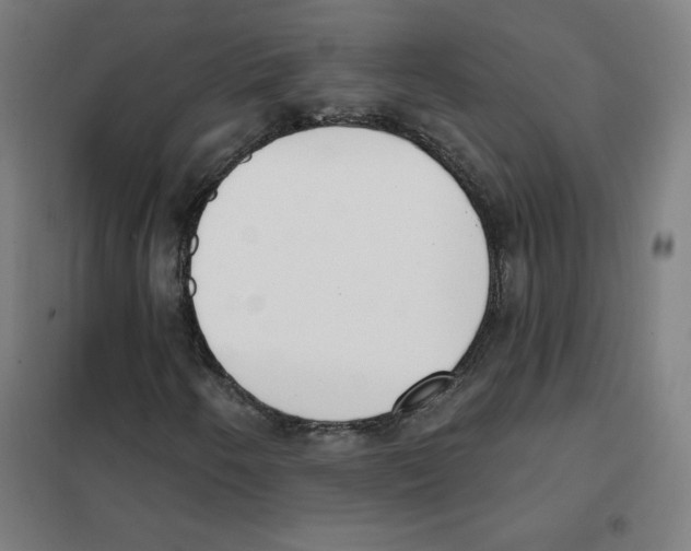 X0000101401250200808041032