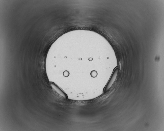 X0000101401251200808041032