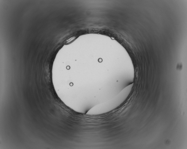 X0000101401252200808041032