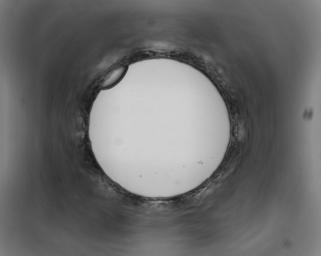 X0000101401253200808041032