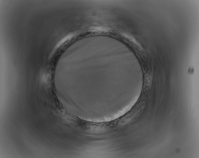 X0000101401254200808041032