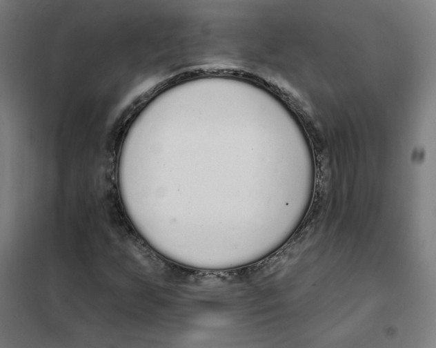 X0000101401255200808041032