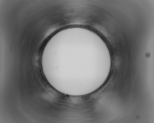 X0000101401258200808041032