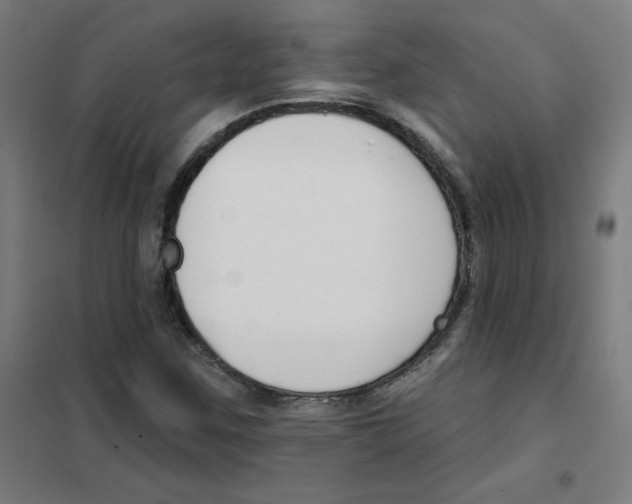 X0000101401259200808041032