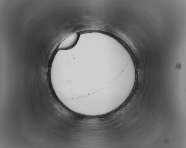 X0000101401260200808041032