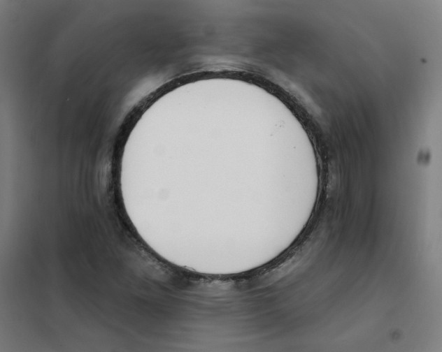 X0000101401261200808041032