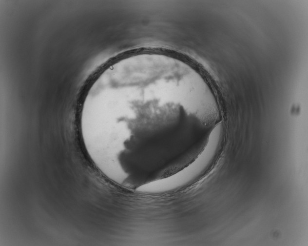 X0000101401263200808041032