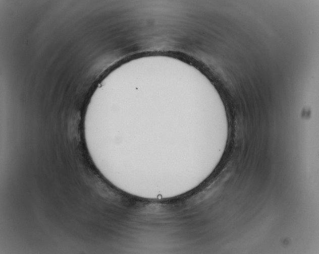 X0000101401265200808041032