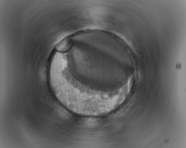 X0000101401266200808041032