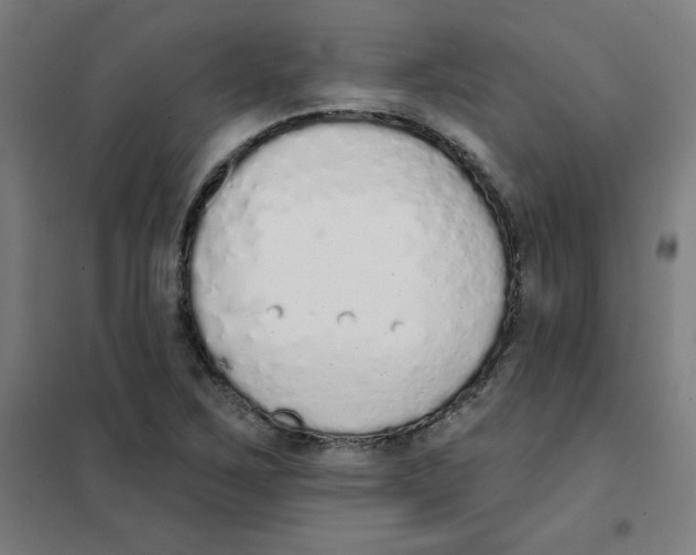 X0000101401267200808041032