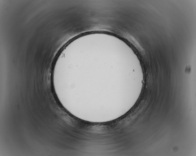 X0000101401268200808041032