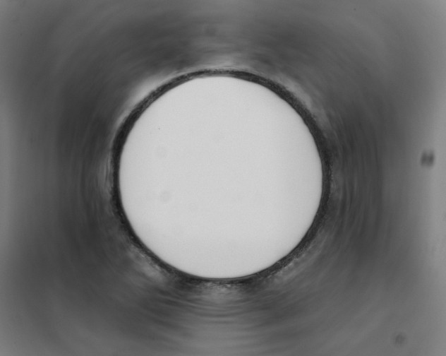 X0000101401270200808041032