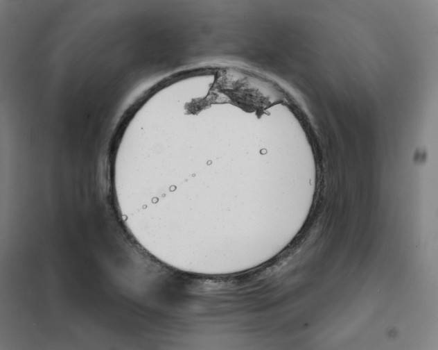 X0000101401271200808041032