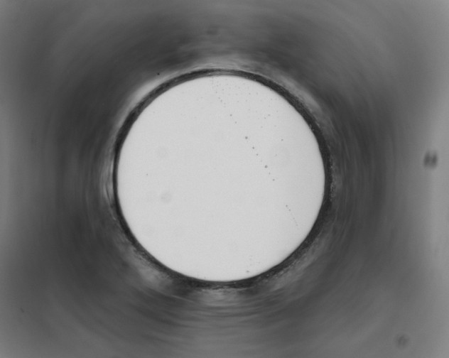 X0000101401272200808041032