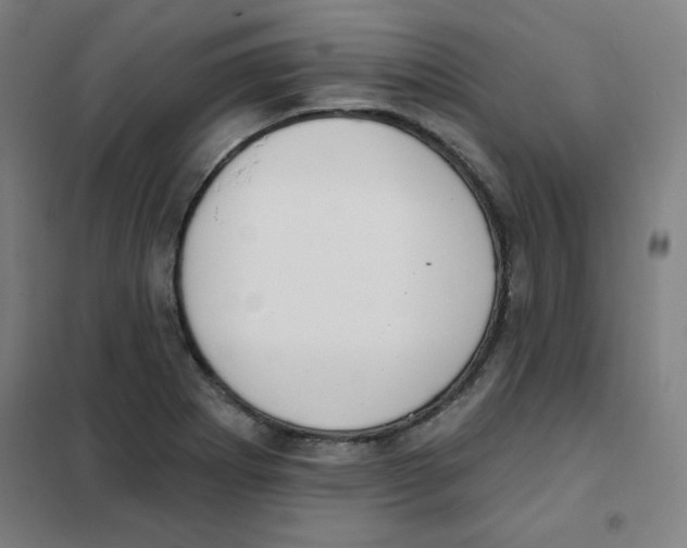 X0000101401273200808041032