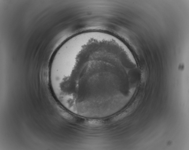 X0000101401274200808041032